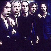 Sponge - List pictures