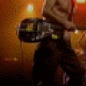 Flea - List pictures