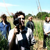 Noah & The Whale - List pictures