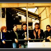 Toto - List pictures