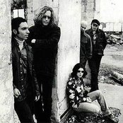 The Screamin' Cheetah Wheelies - List pictures