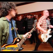 The Men - List pictures