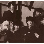 Wasted Youth - List pictures