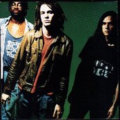 Shunk - List pictures