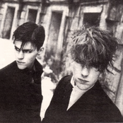 And Also The Trees - List pictures