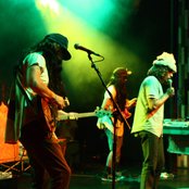 The Growlers - List pictures