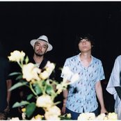 Creephyp - List pictures