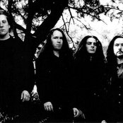 Paramaecium - List pictures