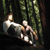 Newvillager - List pictures