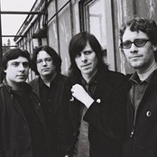 Posies - List pictures