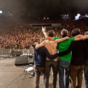 Ornatos Violeta - List pictures