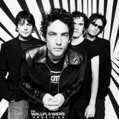 The Wallflowers - List pictures