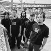 Allele - List pictures