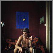 Aardvarck - List pictures