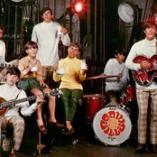 Cowsills - List pictures