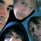 Goose - List pictures