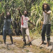Congos - List pictures