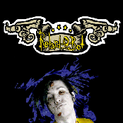 Retard-o-bot - List pictures