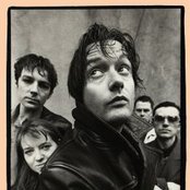 Pulp - List pictures