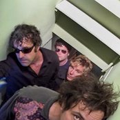 The Purrs - List pictures