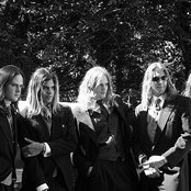 Silvertide - List pictures