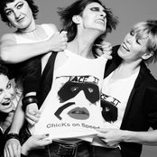 Chicks On Speed - List pictures