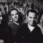 Wrens - List pictures