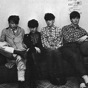 Orange Juice - List pictures