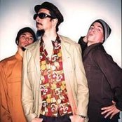 Primus - List pictures