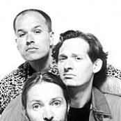 Till & Obel - List pictures