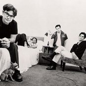 Possum Dixon - List pictures