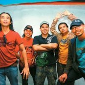 Padi - List pictures