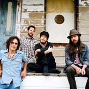 Vetiver - List pictures