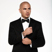 Pitbull - List pictures