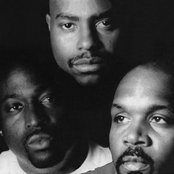 Above The Law - List pictures