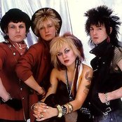 Vice Squad - List pictures