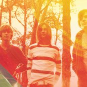 Tame Impala - List pictures