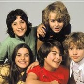 Parchis - List pictures