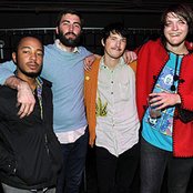 Miniature Tigers - List pictures