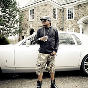 Harvey Stripes - List pictures