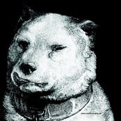 Pavlov's Dog - List pictures