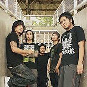 Arcadia - List pictures