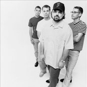 Brad - List pictures