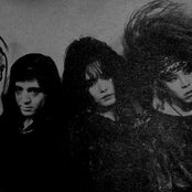 Virus - List pictures