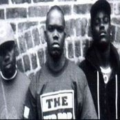 Do Or Die - List pictures