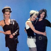 Bananarama - List pictures