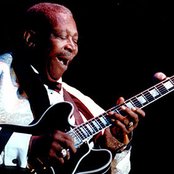 B.b. King - List pictures