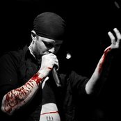 Shining - List pictures