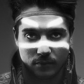 Panda Da Panda - List pictures