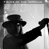 Fields Of The Nephilim - List pictures